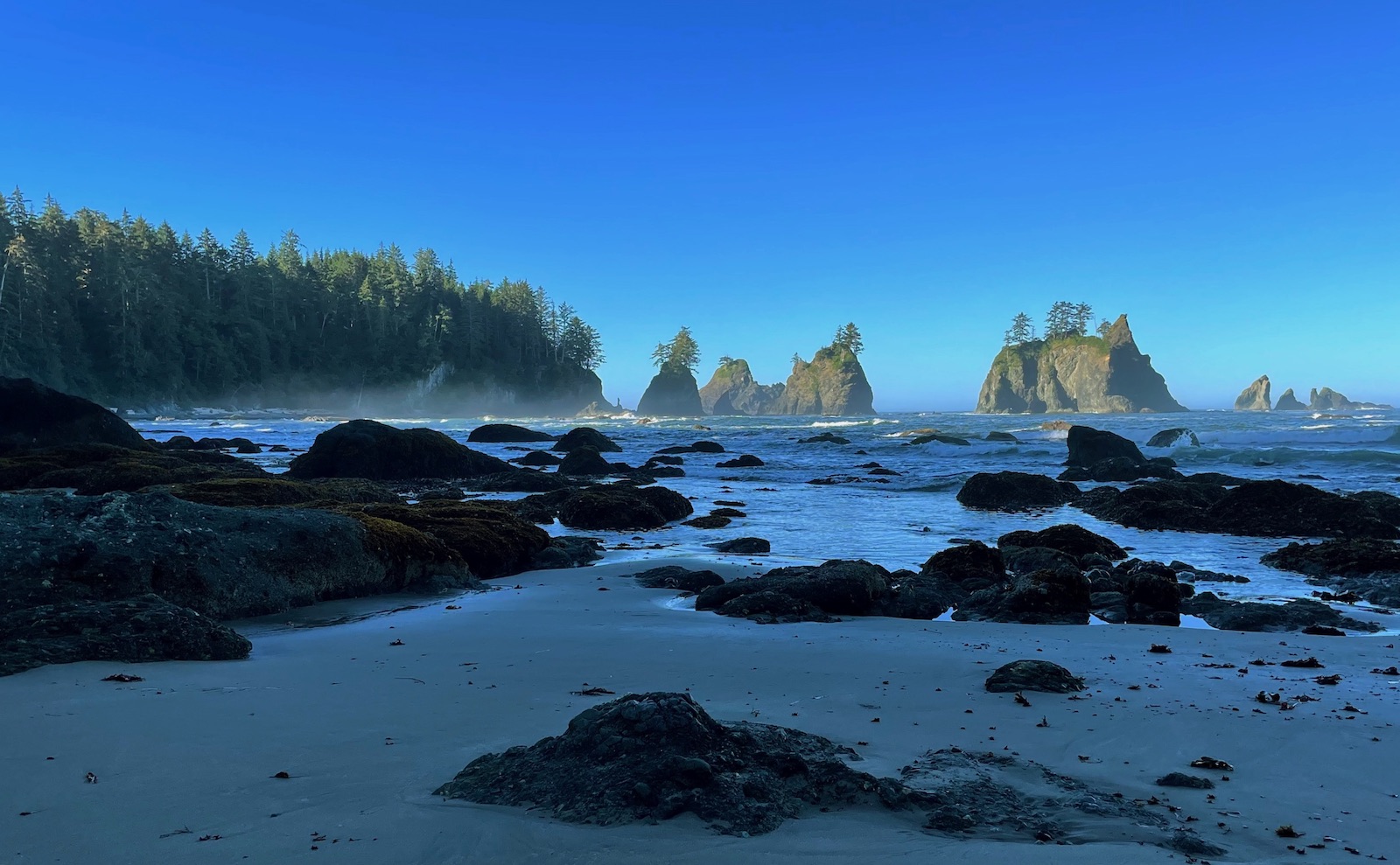 Sea Stacks